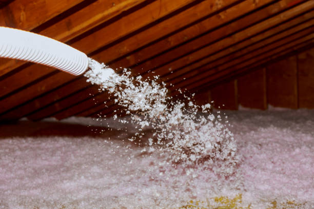 Best Commercial Insulation Services  in Chesterton, IN